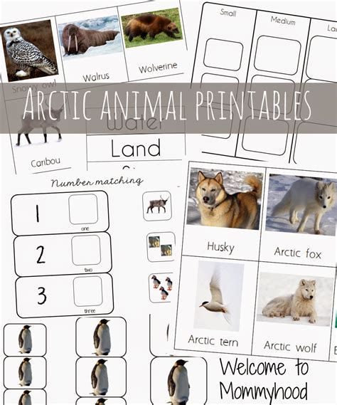 mommyhood arctic activities   printables