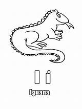 Coloring Iguana Tongue Its Sticking Colornimbus Getdrawings sketch template