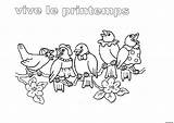 Coloriage Maternelle Oiseaux Oiseau Coloriages Arbre Colorier Imprimé Inscrivez sketch template