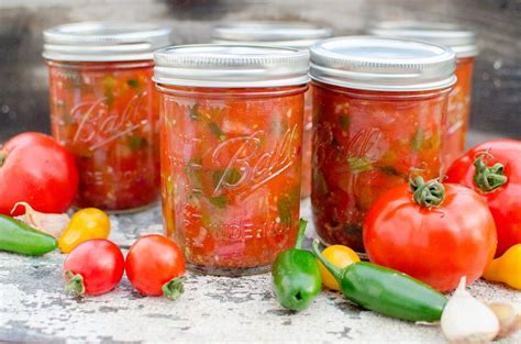 salsa recipe  canning  tomato paste  recipese