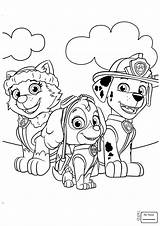 Sea Patrol Coloring Pages Paw Getcolorings sketch template