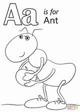 Printable Davemelillo Hormiga Ants Coloringbay Dibujar Animado Facil Abc sketch template
