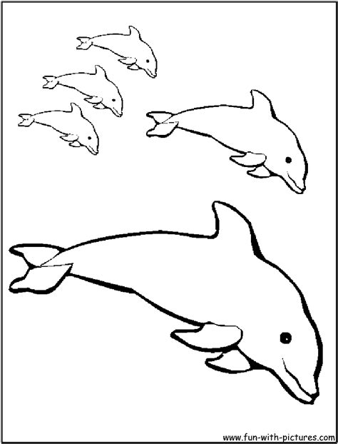 dolphins coloring page