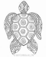 Turtle Coloring Sea Pages Adult Gorgeous sketch template