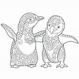 Puffin Coloring Pages Getcolorings Getdrawings sketch template
