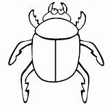 Beetle Insetos Besouros Colorindo sketch template