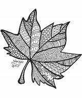Zentangle Coloring Mandala Fall Leaf Printable Doodle Mandalas Kolorowanki Pages Otoño Para Drawing Fulla Dibujos Colorear Dibujo Buch Dolors Automne sketch template