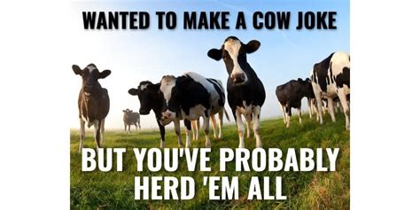 25 Cow Jokes Thatll Lighten Your Moo D Readers Digest Canada