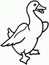 Coloring Printable Goose Animal Clipart Cartoon Pages Duck Color Baby Print Clip Pic Library Cliparts Comments Clipartmag Popular Coloringhome Book sketch template