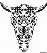 Skulls Getcolorings Scribblefun Cow sketch template