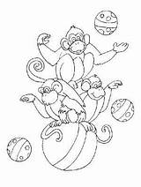 Coloring Pages Acoloringbook Circus Monkey sketch template