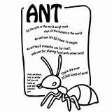 Ants Coloring Pages Toddler Color Ant Facts Based Theme Will sketch template