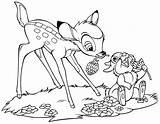 Disney Coloring Pages Bambi Walt Thumper Fanpop Characters sketch template