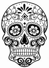 Coloring Skull Sugar Pages Adult Printable Az Coolest Adults Prismacolor sketch template