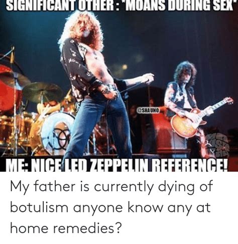 significantother moans during sex me nice led zeppelin reference my