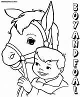 Baby Horse Coloring Pages Print Colorings sketch template