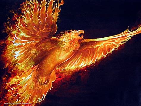 resolution phoenix illustration fire phoenix birds hd wallpaper wallpaper flare