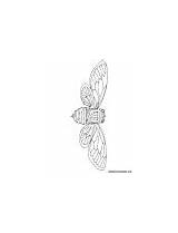 Cicada Coloring Victory Sign Giant sketch template