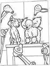 Grooming Ausmalen Trimsalon Hundesalon Getdrawings Hellokids sketch template
