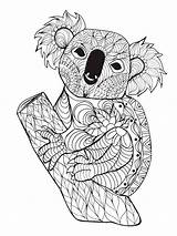 Koala Cheer Zentangle sketch template