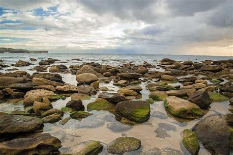 rockpool beaches  australia  explore  kids