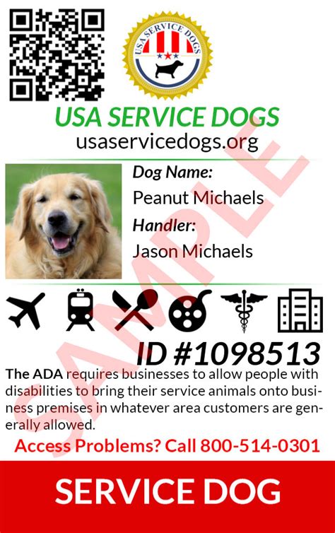 usa service dogs order service dog kit