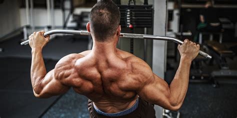 Shoulder Exercises And Workouts You Need To Build Muscle