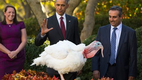 watch president obama pardons his final thanksgiving turkey