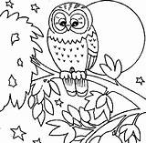 Owl Eule Eulen Malvorlage Owls Rocks Getdrawings Ausmalbildervorlagen sketch template