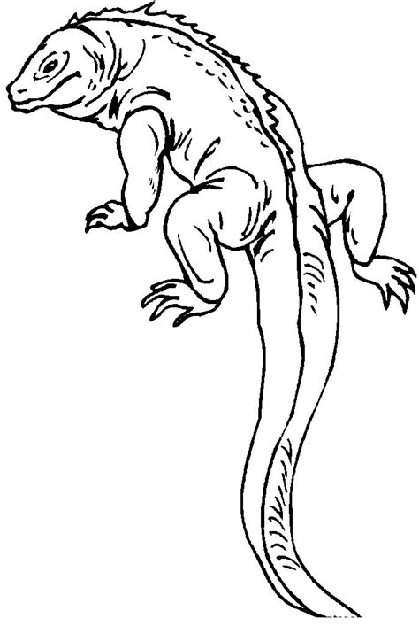 introducing comical lizard coloring page studying   tune