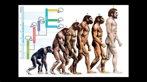 La Evolución Según Charles Darwin Youtube