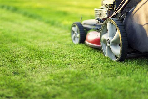 mow  lawn spring summer fall pro tips