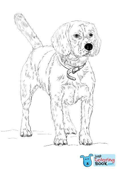 beagle coloring page