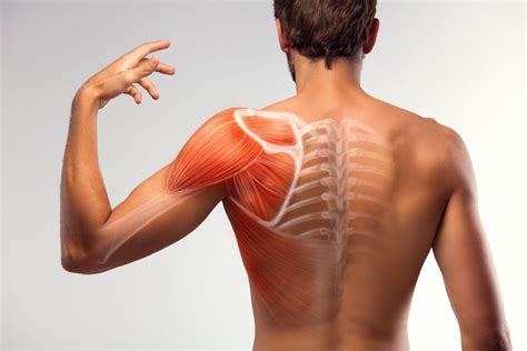 muscle strains treatment  fairfax va sapna spine  pain clinic