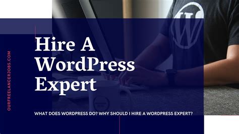 wordpress     hire  wordpress expert