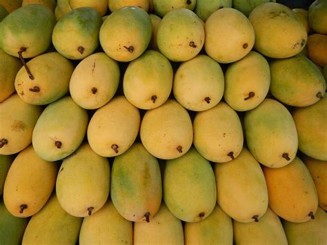 The Health Benefits Of Mangoes Beyond Deliciousness