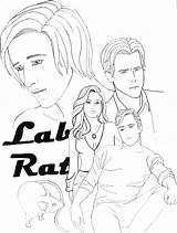 Coloring Pages Rat Rats Lab Getcolorings Printable sketch template