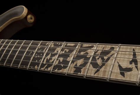 guitar   month april  dgt birds   feather semi hollow prs guitar guitars making