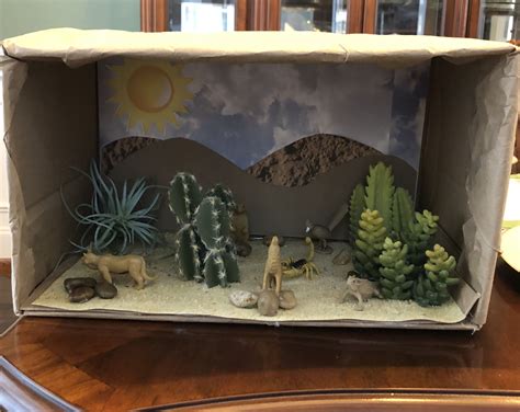 desert biome project biomes project ecosystems projects school fun