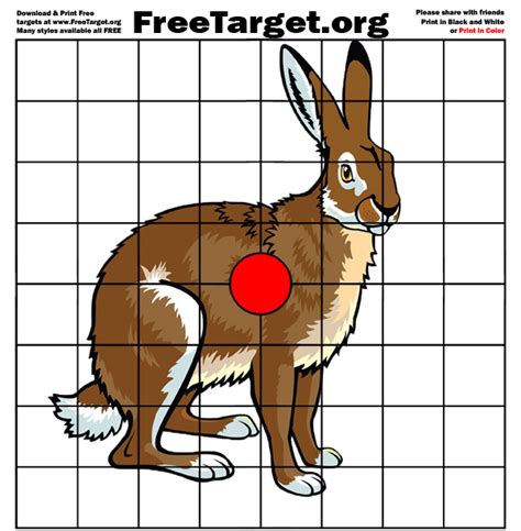 printable rabbit shooting targets printable shooting