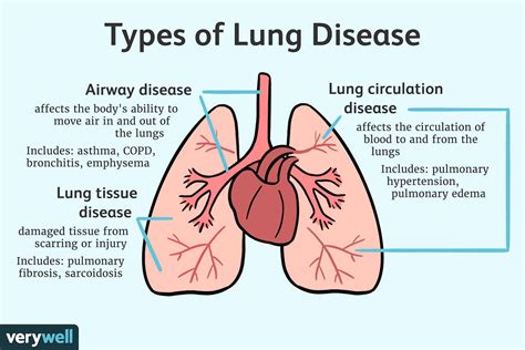 common respiratory disorders   impact  lung function health