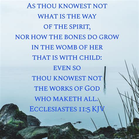 ecclesiastes  kjv elizearzoe