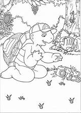 Franklin Turtle Coloring Pages Printable sketch template