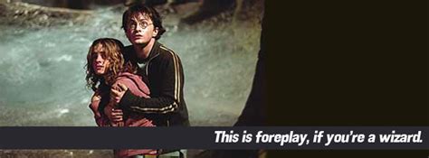 Harry Potter Gets Laid