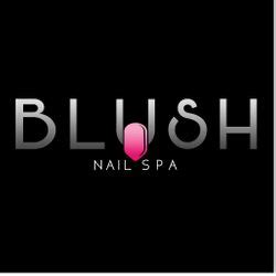 blush nail spa fitchburg wi book  prices reviews