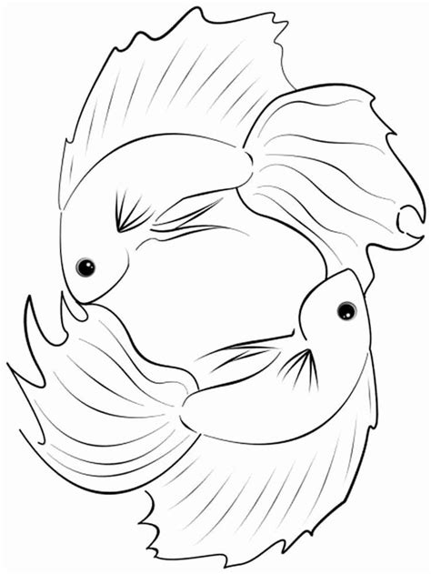 betta fish coloring page fresh betta fish coloring pages