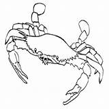 Crab Coloring Makeup sketch template