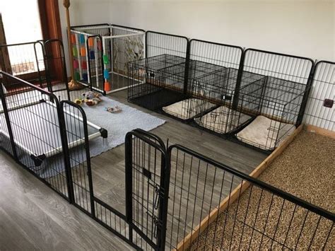 custom indoor dog kennels cheapest  save  jlcatjgobmx