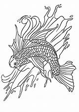 Coloring Koi Fish Koifish Pages Parentune Worksheets sketch template