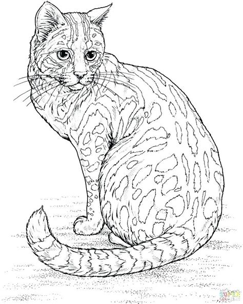 calico cat coloring page  getcoloringscom  printable colorings